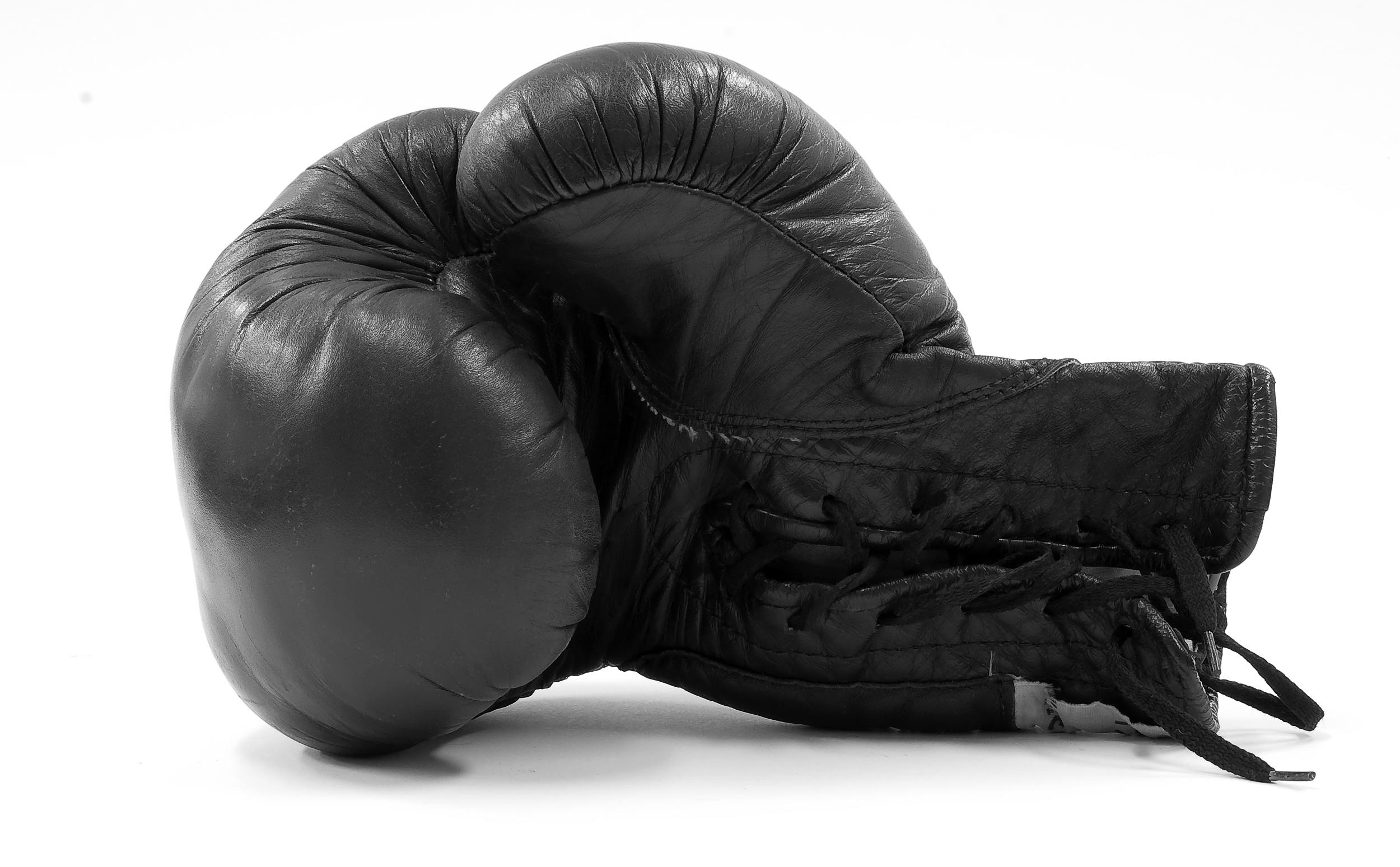 The Revenge of Miguel Cotto preview